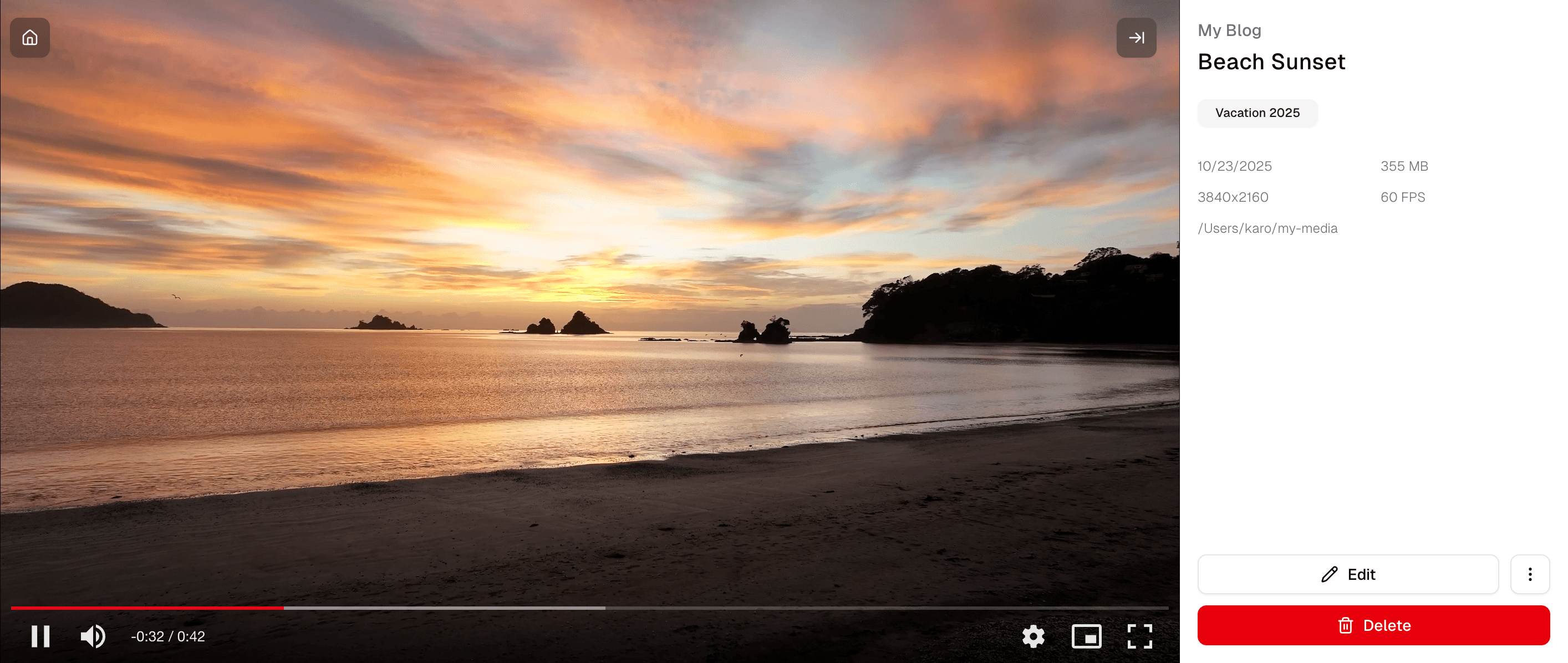 Video player interface with playback controls
